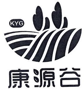 康源谷 kyg