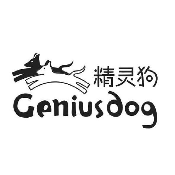 em>精灵/em>狗 em>genius/em>dog