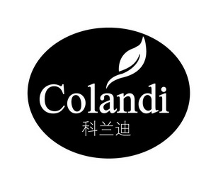 科兰迪 colandi