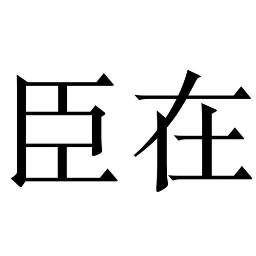 深圳市一臣知识产权管理有限公司臣在商标注册申请申请/注册号