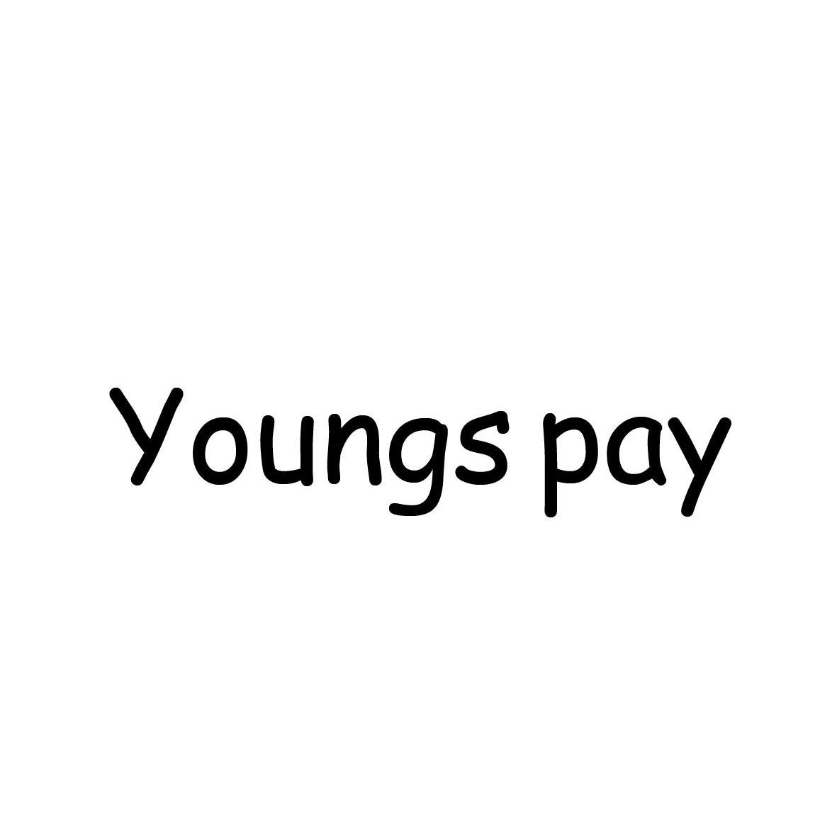 youngs pay em>年轻人/em em>付款/em>