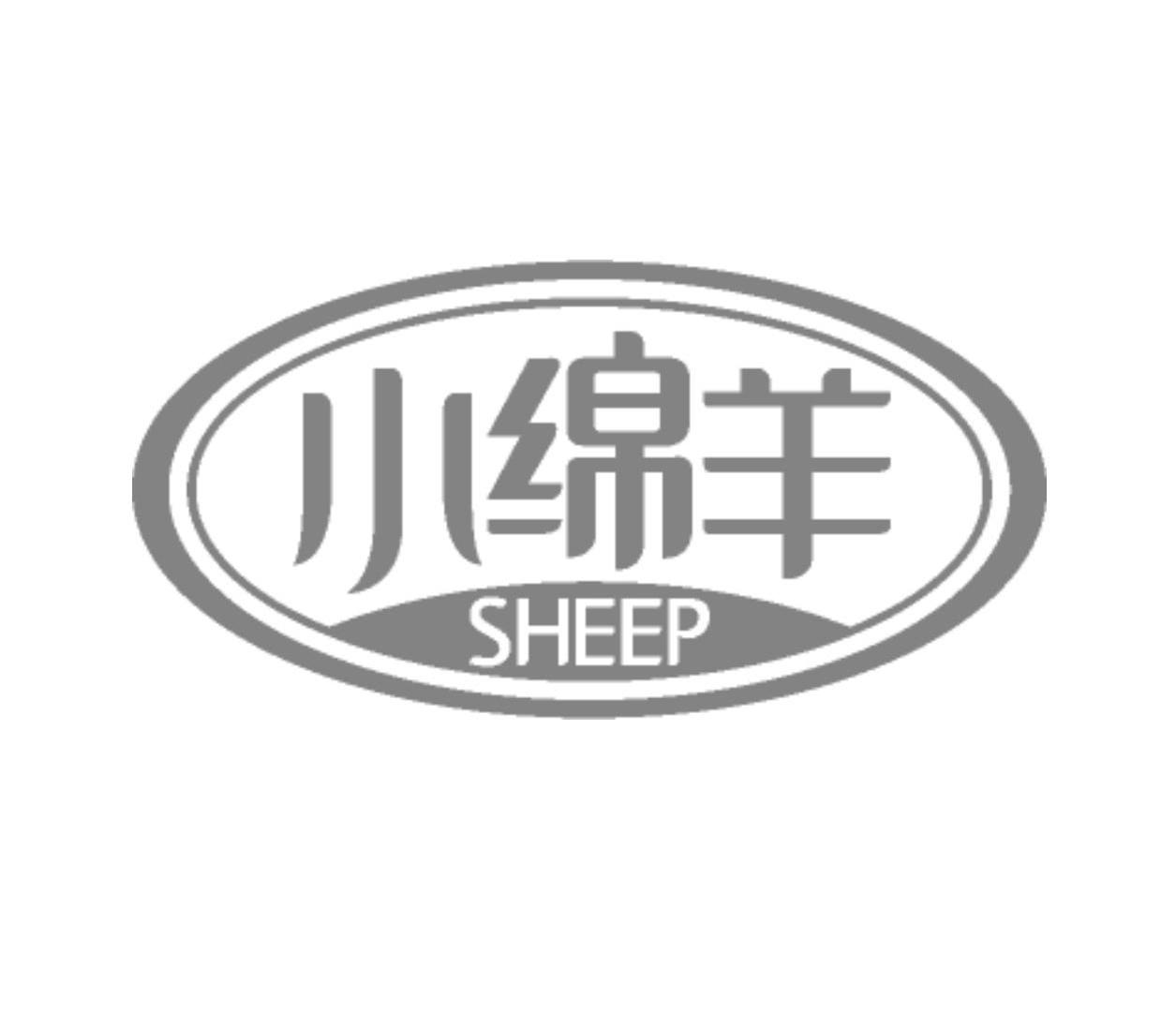  em>小绵羊 /em>  em>sheep /em>