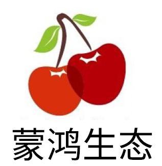 孟鸿升_企业商标大全_商标信息查询_爱企查