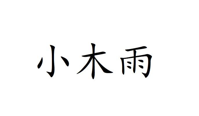 em>小木雨/em>