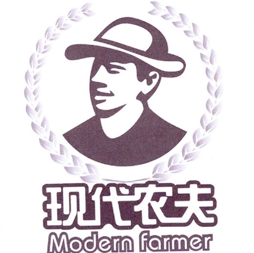 em>现代/em em>农夫/em modern farmer