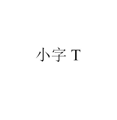 em>小字/em t