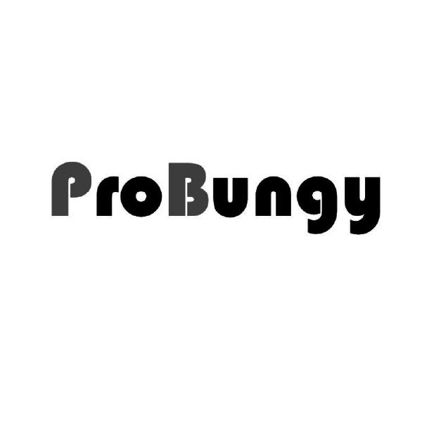 probungy等待实质审查