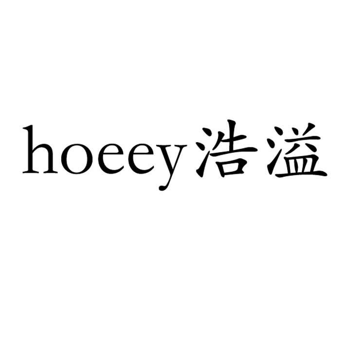 em>浩溢/em hoeey