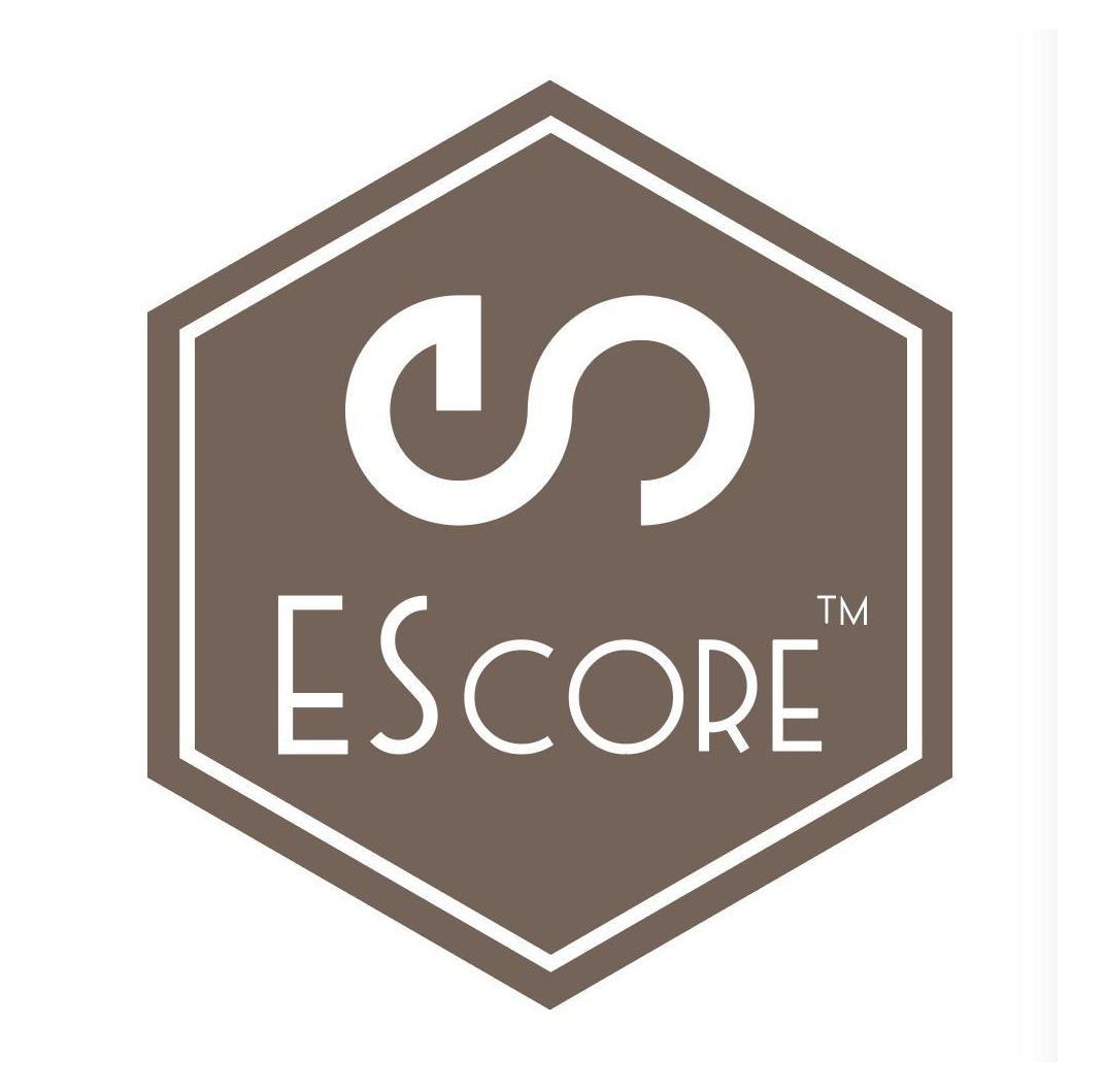 es  escore tm申请被驳回不予受理等该商标已失效