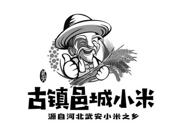 2019-04-08国际分类:第30类-方便食品商标申请人:唐玉侠办理/代理机构