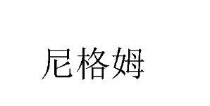 尼格玛_企业商标大全_商标信息查询_爱企查