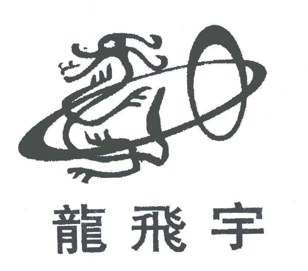 龙飞宇