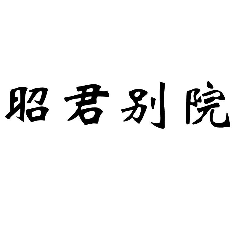 第39类-运输贮藏商标申请人:湖北 昭君旅游文化发展有限公司办理/代理