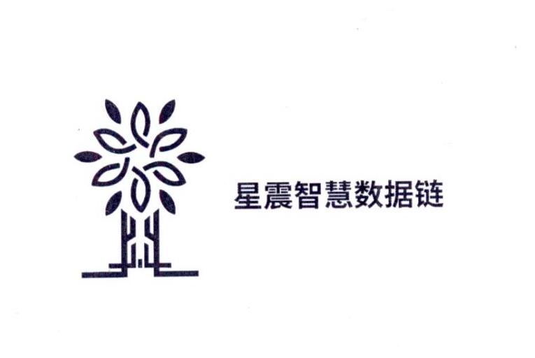  em>星震 /em>智慧数据链