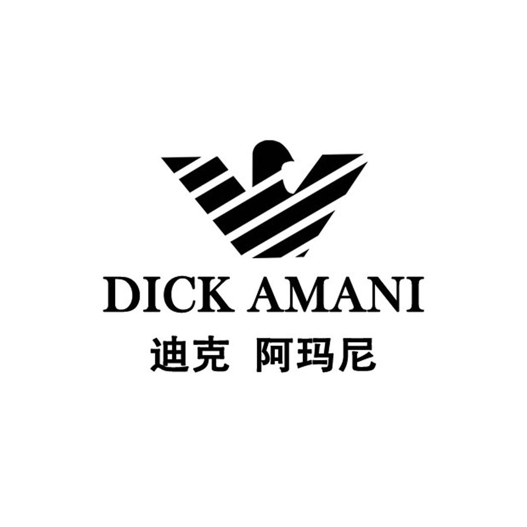 迪克 阿玛尼 dick amani