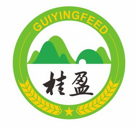 桂盈 guiyingfeed