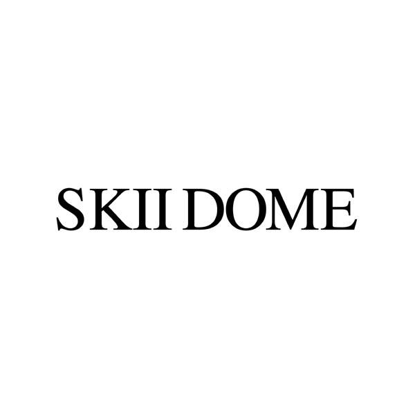 skiidome商标注册申请完成