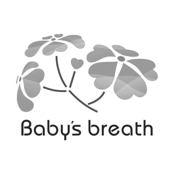 em>babys /em> em>breath /em>