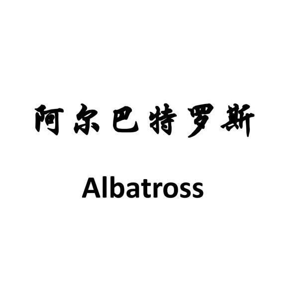 em>阿尔巴特罗斯/em em>albatross/em>