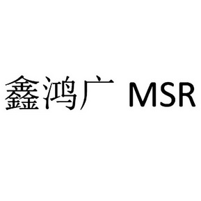 鑫鸿广 msr