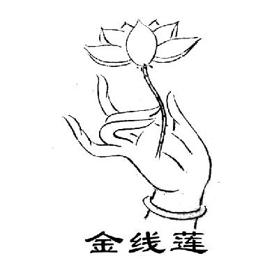 金线莲