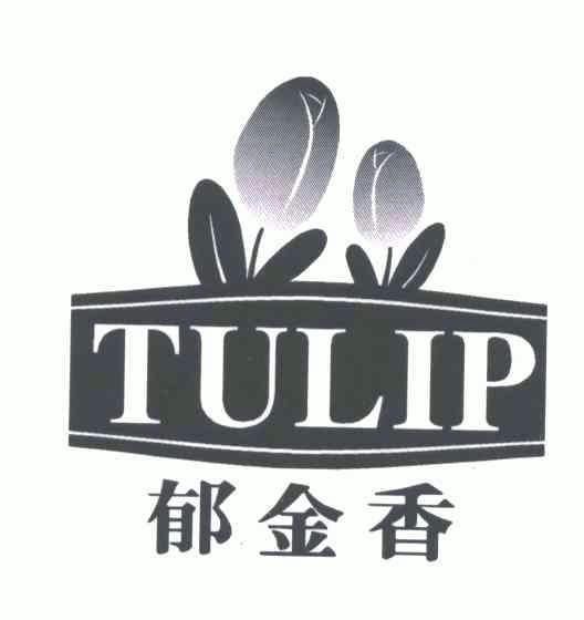 郁金香;tulip