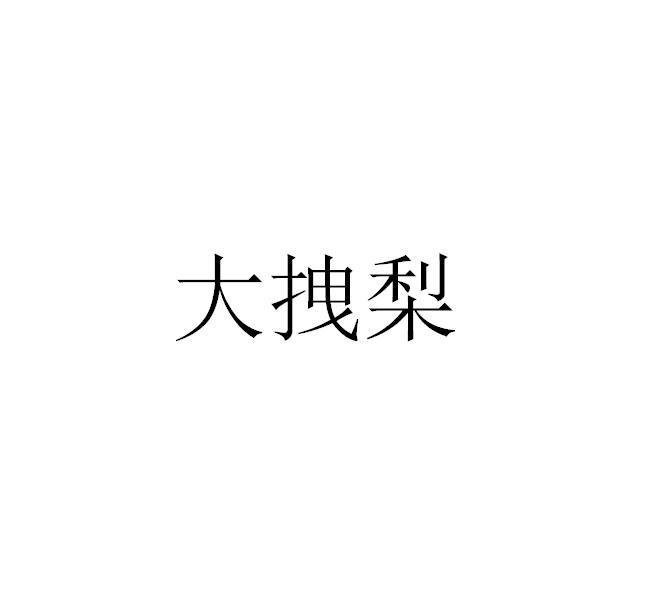 拽梨_企业商标大全_商标信息查询_爱企查