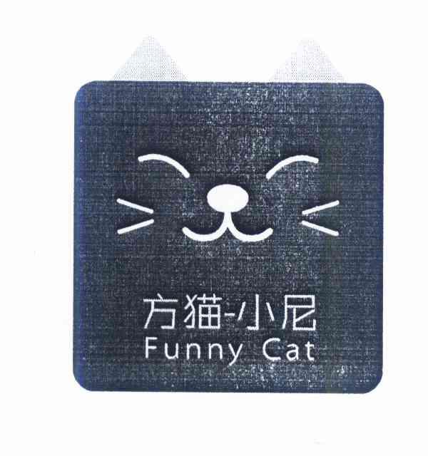 方猫小尼 em>funnycat /em>