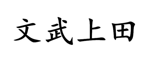 文武上田 企业商标大全 商标信息查询 爱企查