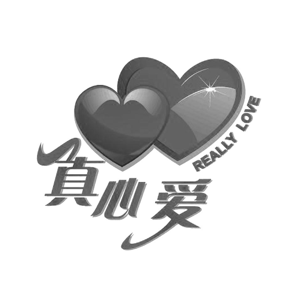 真心爱 em>really/em em>love/em>