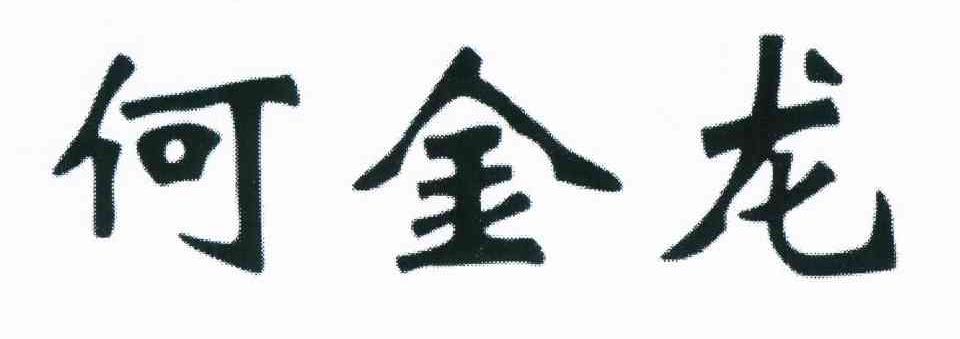 em>何金龙/em>