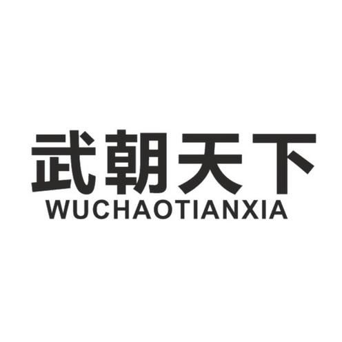 武朝天下