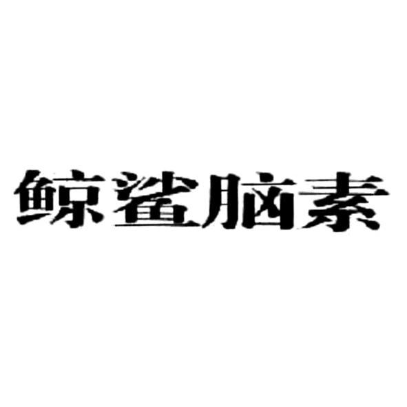 2010-06-11国际分类:第30类-方便食品商标申请人:上海博翰堂医疗器械