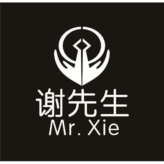 谢先生 mr.xie