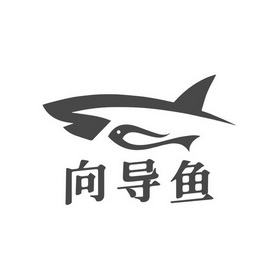 向导鱼