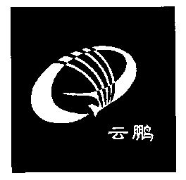2002-12-16国际分类:第11类-灯具空调商标申请人:西安云鹏热力科技