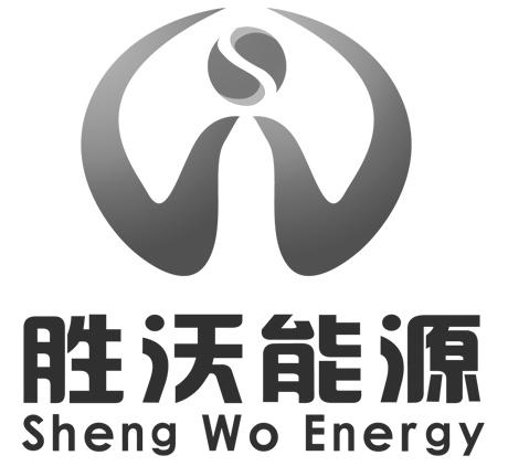 em>胜沃/em em>能源/em shengwo em>energy/em>