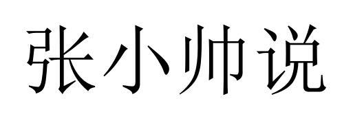 em>张小帅/em>说
