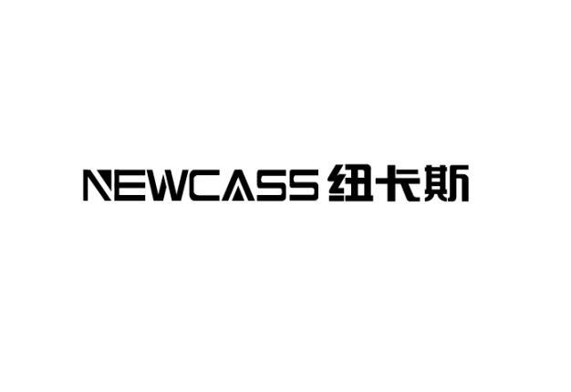 em>纽卡斯/em newcass