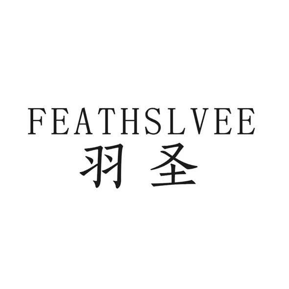 羽圣feathslvee