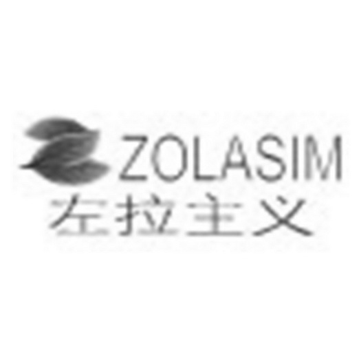  em>左拉主义 /em>  em>zolasim /em>