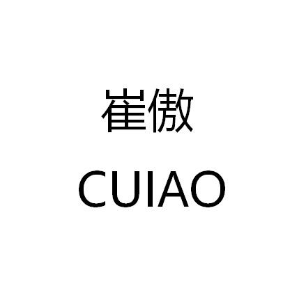 崔傲申请/注册号:48441505申请日期:2020-07-28国际