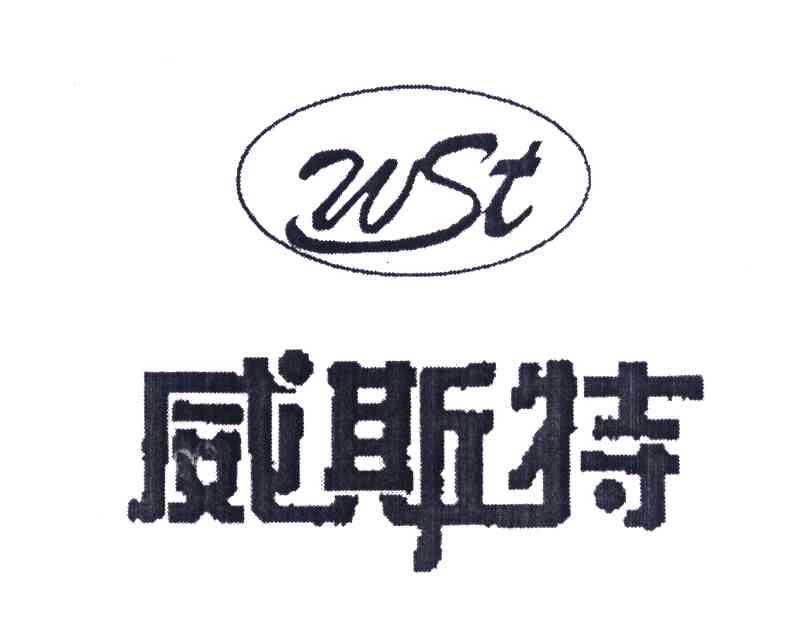 维斯特wst_企业商标大全_商标信息查询_爱企查