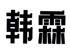 em>韩霖/em>