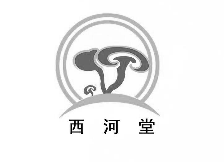  em>西河堂 /em>