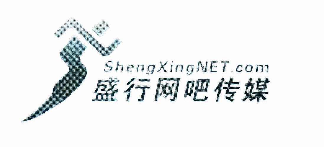 广州市盛行网络信息科技有限公司办理/代理机构:广东名悦商标事务所