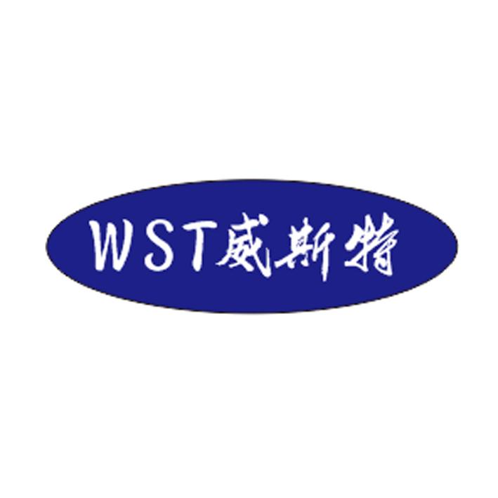 威斯特wst_企业商标大全_商标信息查询_爱企查