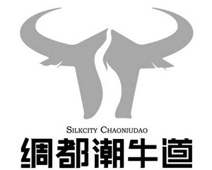 绸都潮牛道 silkcity chaoniudao