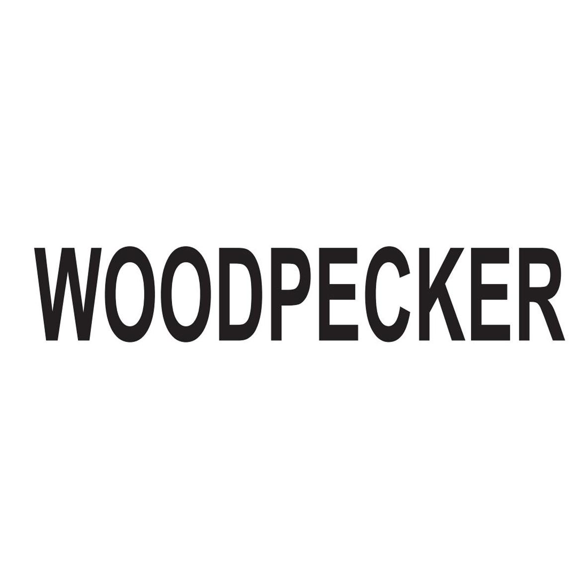  em>woodpecker /em>
