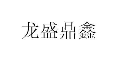 产权服务成都有限公司申请人:山西龙盛鼎鑫医药科技有限公司国际分类